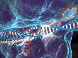 Эксперты опровергли статью о побочных мутациях при CRISPR/Cas9