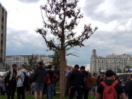 В СПЧ возложили вину за давку на Тверской улице на участников несанкционированной акции