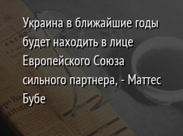 Украина в ближайшие годы будет находить в лице Европейского Союза сильного партнера, - Маттес Бубе