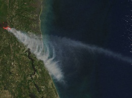 Ученые: лесные пожары опаснее для климата, чем считалось ранее