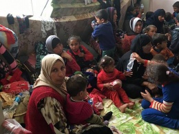 В Ираке сотни беженцев в критическом состоянии из-за пищевого отравления, есть погибшие