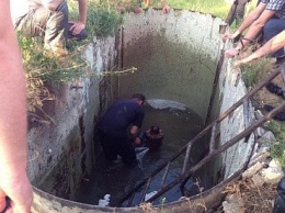 В Кривом Роге появилось незапланированное озеро