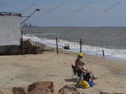 В Запорожской области на берег моря выбросило труп дикого животного