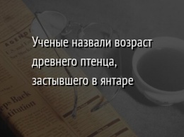 Ученые назвали возраст древнего птенца, застывшего в янтаре