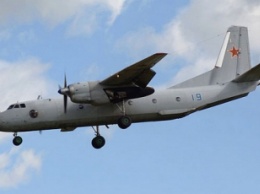 В России военный самолет врезался в лося (видео)