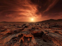 Исследователи обнаружили на Марсе рака-мутанта (ВИДЕО)