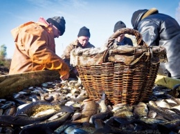 Водные ресурсы Кинбурнской косы под угрозой