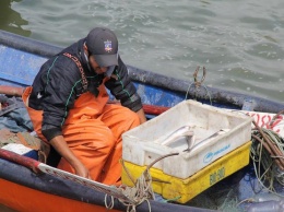 Саудовская Аравия обстреляла иранские рыболовецкие суда
