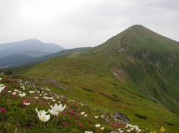 Группа туристов заблудилась в горах Закарпатской области