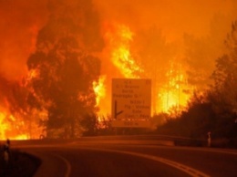 Португалию охватили жуткие пожары: множество жертв (фото)