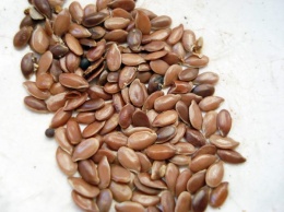 Льняное семя: маленькие зернышки с большим очищающим потенциалом