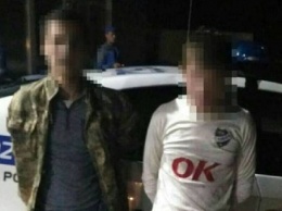 В Житомире двое парней изнасиловали девушку прямо на улице
