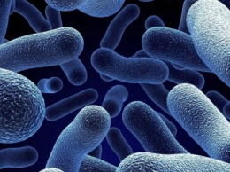 При чихании бактерии сохраняются в воздухе еще 45 минут