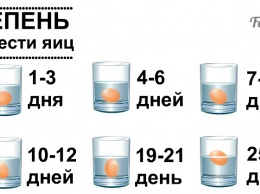 Вот что можно сказать о курином яйце по положению в стакане воды