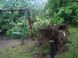 На задыхающийся от мусора Львов внезапно накатила мощная буря с грозой, падают деревья и замерли трамваи