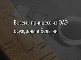 Восемь принцесс из ОАЭ осуждены в Бельгии