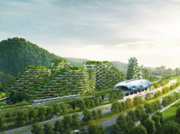 Первый в мире лесной город построят в Китае к 2020 году