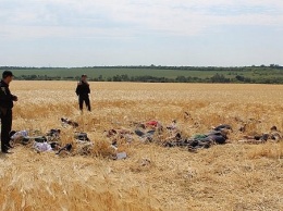 В Кировоградской области сельская община отбила атаку рейдеров