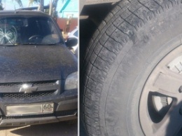В Пскове неизвестные разбили битами автомобиль экстрасенса Натальи Ефимовой