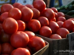 За неделю в Крым из Украины ввезли почти 9 тыс. тонн продуктов