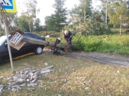 Ураган под Киевом повалил почти сотню деревьев и повредил десятки домов