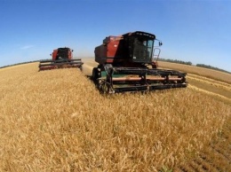 Запорожские аграрии уже начали собирать урожай этого года