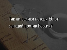 Так ли велики потери ЕС от санкций против России?