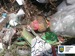 Во Львове при разгрузке мусора из контейнера выкатились 5 гранат