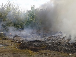 Под Николаевом горит мусор и сухостой на городской свалке