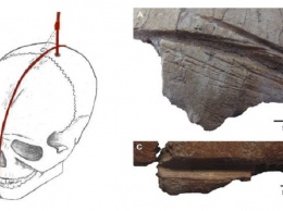 В Турции нашли свидетельства неолитического культа черепов