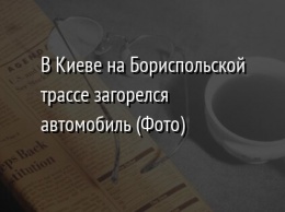 В Киеве на Бориспольской трассе загорелся автомобиль (Фото)