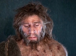 Ученые рассказали о примитивности гигиены зубов у неандертальцев