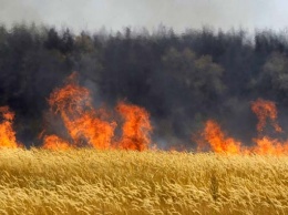 На Днепропетровщине сгорел урожай