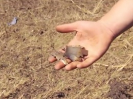 Обострение на Донецком направлении: террористы забрасывают бойцов АТО сотнями мин