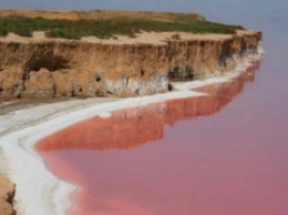 Народная артистка восхищается Мертвым морем на юге Украины (фото)