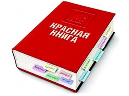 В "ЛНР" собрались разрабатывать Красную книгу