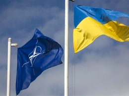 В НАТО призвали Украину искоренить коррупцию и влияние олигархов