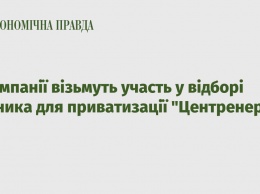 4 компании примут участие в отборе советника для приватизации Центрэнерго