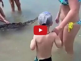 В России мужчина купал в море крокодила рядом с детьми (видео)