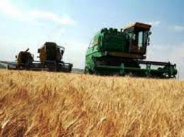 Пшеница в США подорожала до максимума за четыре года