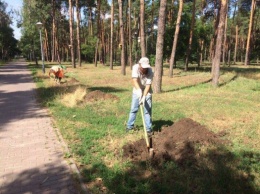 В столичном парке "Победа" высадили 38 яблонь (фото)