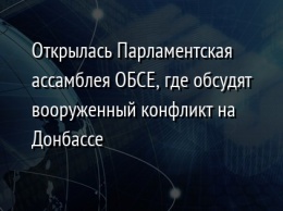 Открылась Парламентская ассамблея ОБСЕ, где обсудят вооруженный конфликт на Донбассе