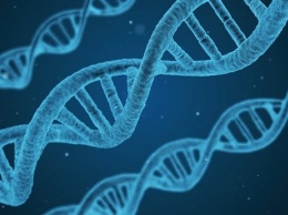 Союзное государство начало реализацию программы «ДНК-идентификация»