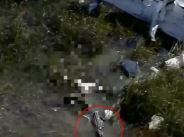 Аллигатор съел упавшего в болото летчика (фото)