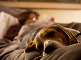 Ученые высчитали, сколько должен спать человек