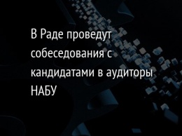 В Раде проведут собеседования с кандидатами в аудиторы НАБУ