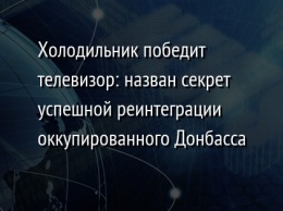 Холодильник победит телевизор: назван секрет успешной реинтеграции оккупированного Донбасса
