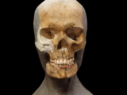 Антропологическая реконструкция: как восстановить черты лица по черепу