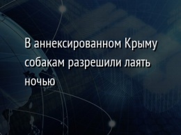 В аннексированном Крыму собакам разрешили лаять ночью