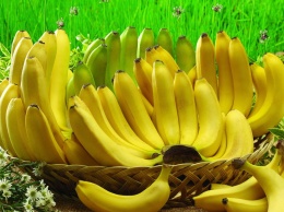 Ученые создали полезный сорт бананов для детей